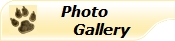 Photogallery