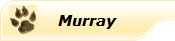 murray